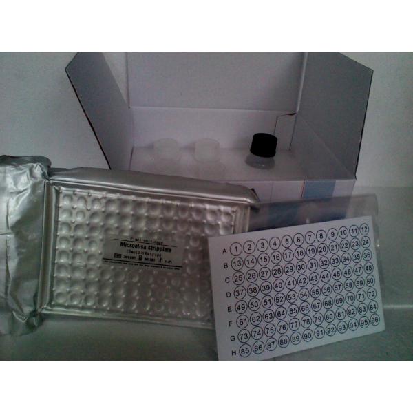 大鼠双氢睾酮(DHT)ELISA kit免费待测