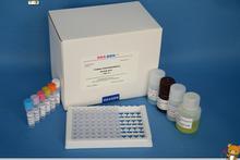 大鼠抑制素A(INH-A)免疫组化试剂盒