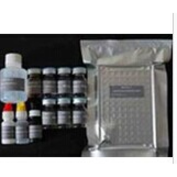 人上皮细胞粘附分子(Ep-CAM/CD362)检测试剂盒