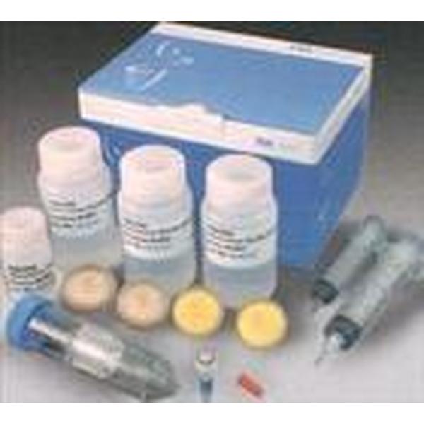 Mag-Bind Plasmid Maxi Kit(20)