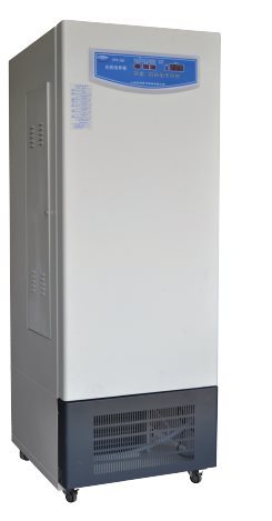 SPX-150-GB光照培养箱