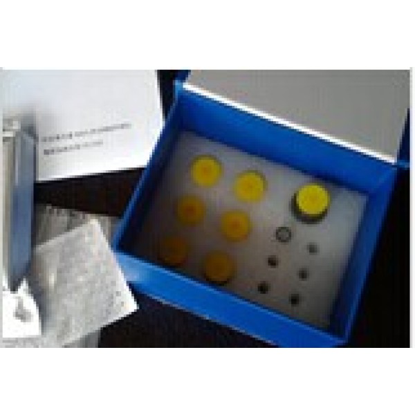 小鼠细胞周期素D1(CCND1)ELISA试剂盒
