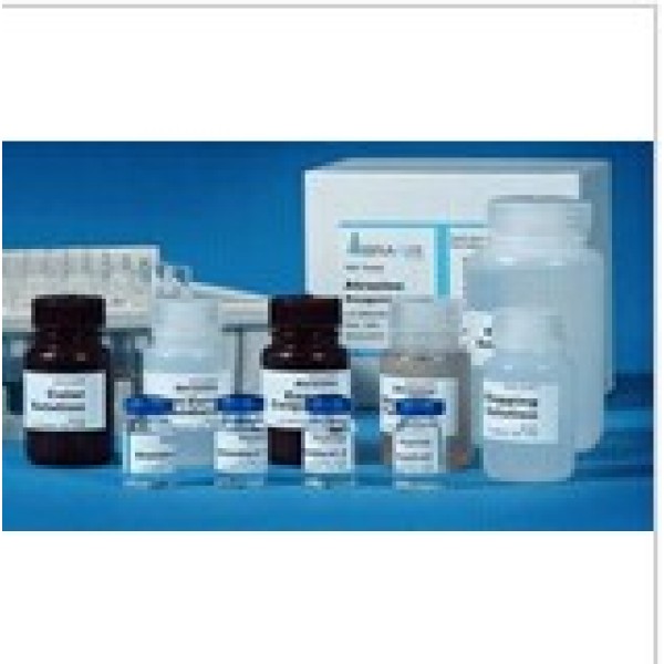 人精胺氧化酶(SMOX)ELISA试剂盒