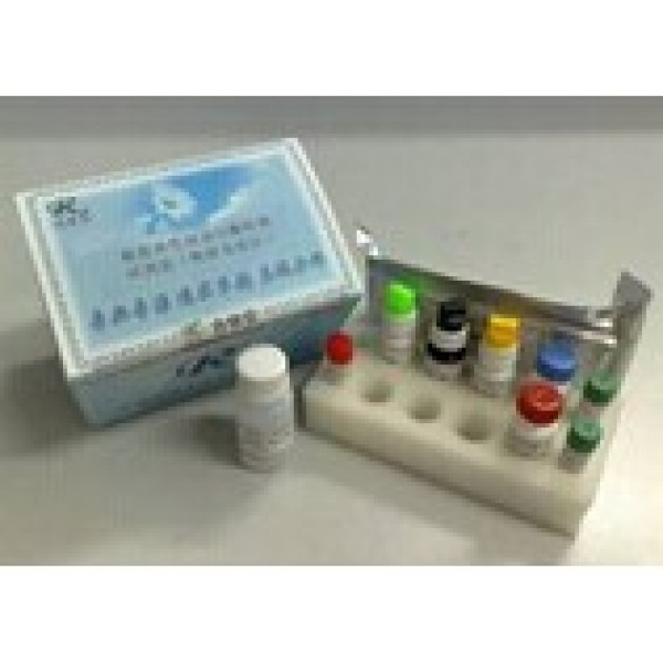 人白细胞调节素(LR)检测试剂盒 