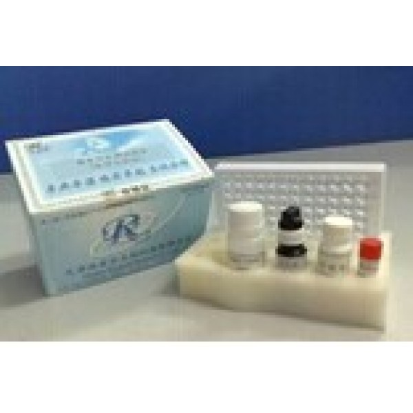 小鼠水通道蛋白4(AQP4)ELISA试剂盒