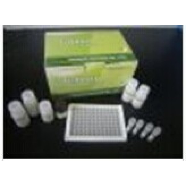 人尿微量白蛋白(MAU)检测试剂盒