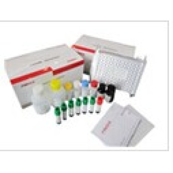 人钙离子通道抗体(VGCC)ELISA试剂盒 