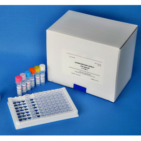 人脑钠素\/脑钠尿肽(BNP)ELISA kit说明书