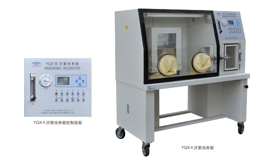 YQX-I/II 厌氧培养箱
