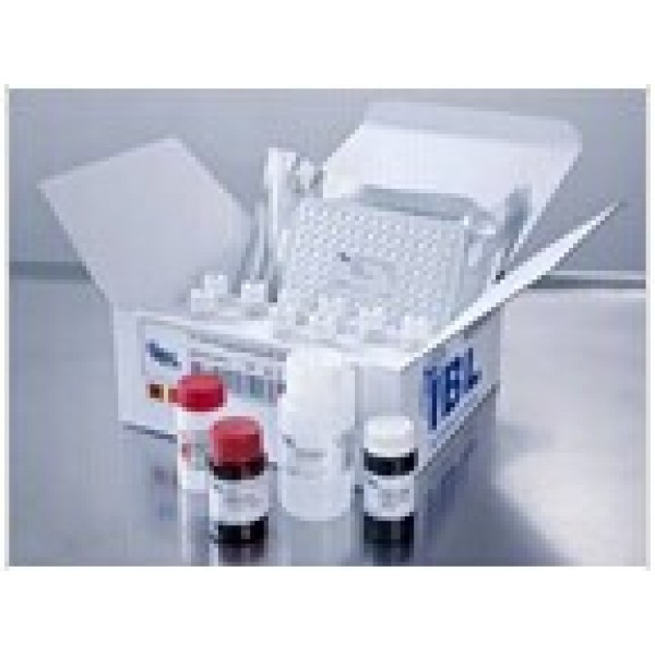 小鼠内皮脂肪酶(LIPG)ELISA试剂盒