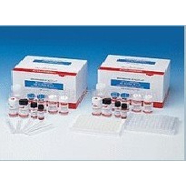 Molluse RNA Kit(200)