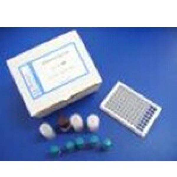 人缪勒管抑制物质/抗缪勒管激素(MIS/AMH)ELISA试剂盒 