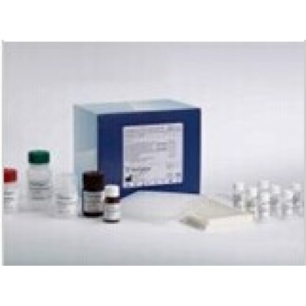人胆固醇-25-羟化酶(CH25H)ELISA试剂盒 