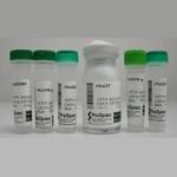 6-甲基尿嘧啶5344-27-4