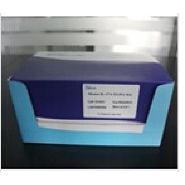 小鼠静止素Q6硫基氧化酶1(QSOX1)检测试剂盒 