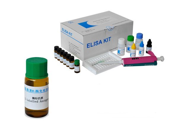 ELISA试剂盒