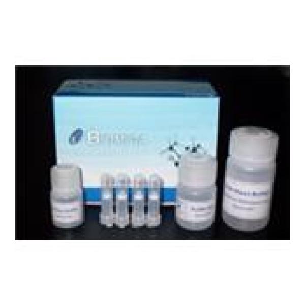 total DNA/RNA Isolation Kit(5)