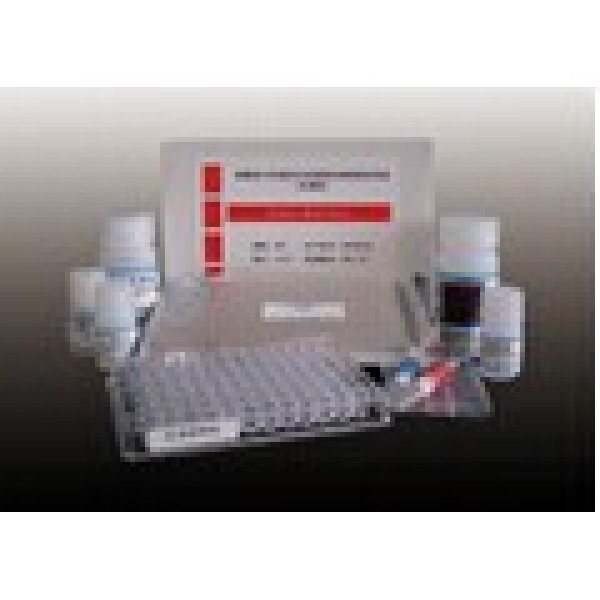 鸡血管生成素2(ANGPT2)检测试剂盒 