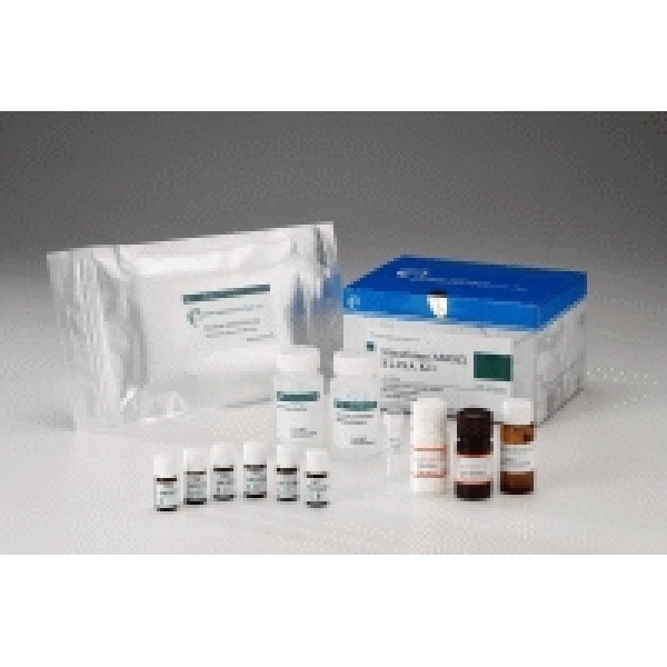 GenPrep gDNA Yeast and Fungi Kit