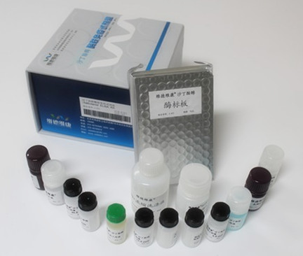 维德维康沙丁胺醇酶联免疫试剂盒-羊尿