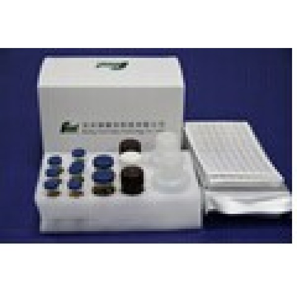 人促卵泡素(FSH)检测试剂盒 