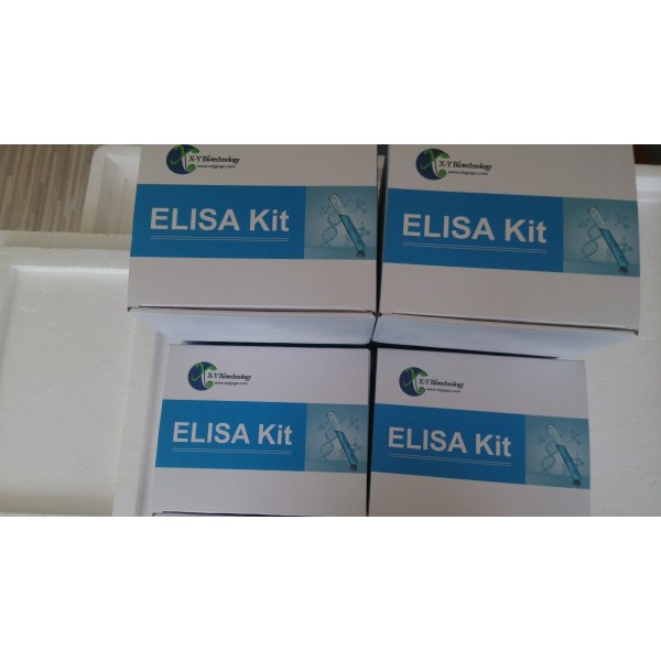 人血管生成素2(ANGPT2)ELISA试剂盒
