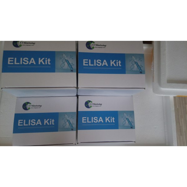 人囊性纤维化跨膜传导调节因子(CFTR)ELISA试剂盒