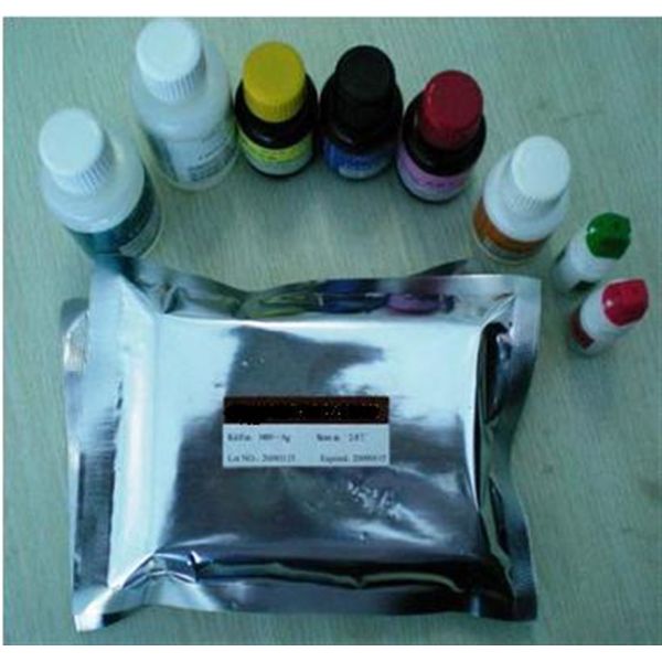 组织琥珀酸脱氢酶（SDH）活性比色法定量检测试剂盒