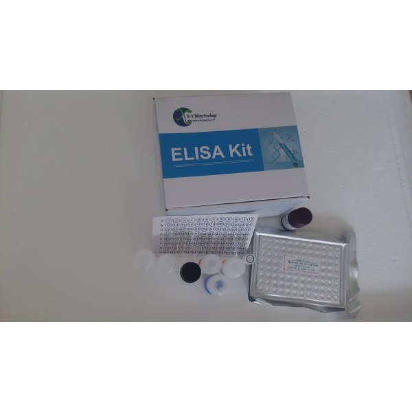 人低密度脂蛋白受体(LDLR) ELISA 检测试剂盒