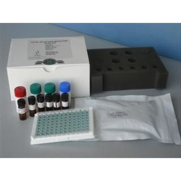 荧光标记法组织端粒酶活性TRAP电泳分析试剂盒