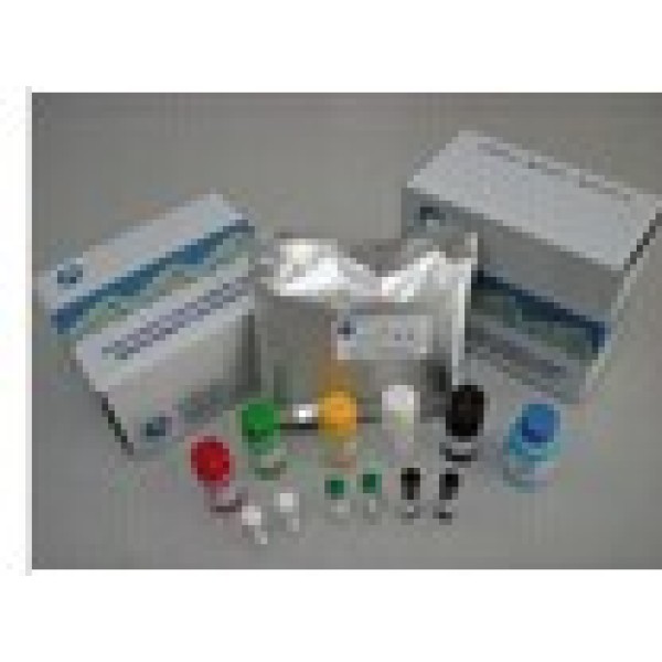 大鼠孕烷X受体(PXR)ELISA试剂盒