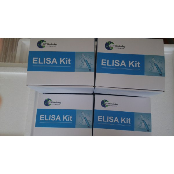 人分泌型卷曲相关蛋白4(SFRP4)ELISA试剂盒