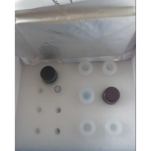 冰冻切片亮氨酸氨基肽酶活性染色试剂盒  