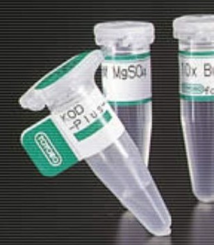 磷酸化腺泡Acinus蛋白抗体，Anti-phospho Ser1180)