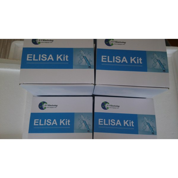 人血管紧张素Ⅱ(ANGⅡ)ELISA试剂盒