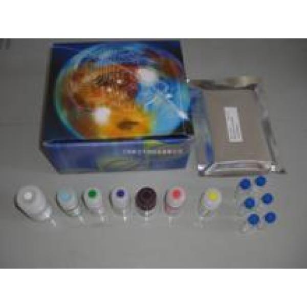 体液总抗氧化能力（TAC）化学发光法定量检测试剂盒