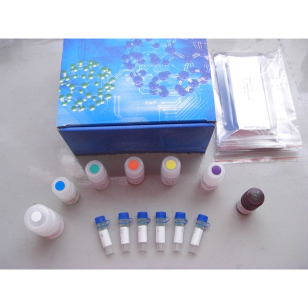 血液一氧化氮合成酶总活性荧光定量检测试剂盒 