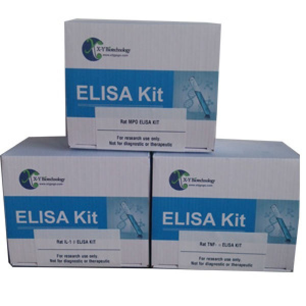人双氧化酶2(DUOX2)ELISA试剂盒