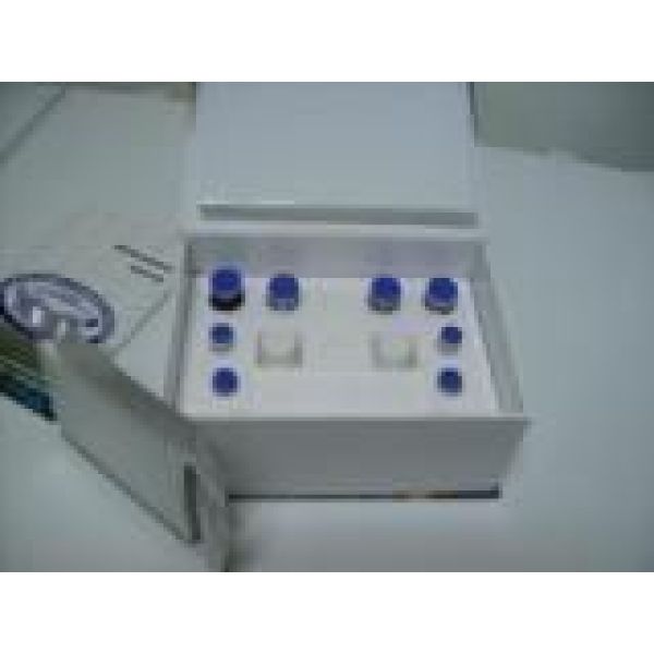 细胞谷胱甘肽（GLUTATHIONE）总浓度比色法定量检测试剂盒