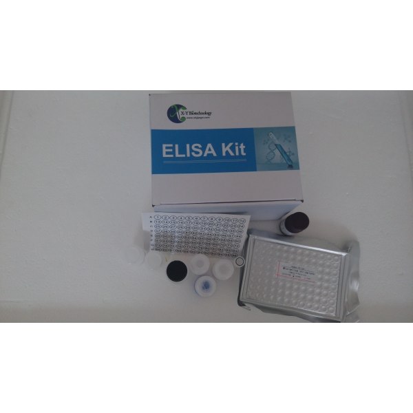 人沉默调节蛋白2(SIRT2)ELISA试剂盒