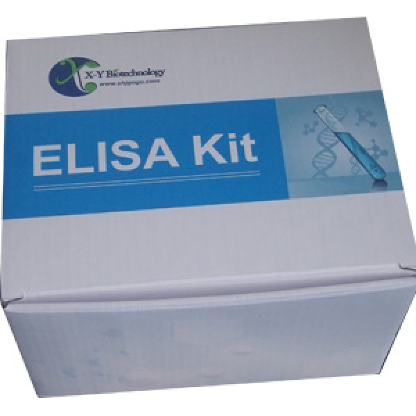 人桥粒芯胶粘蛋白2(DSC2)ELISA试剂盒