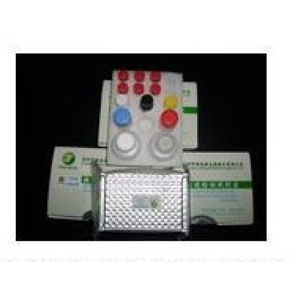 肾素荧光定量检测试剂盒  
