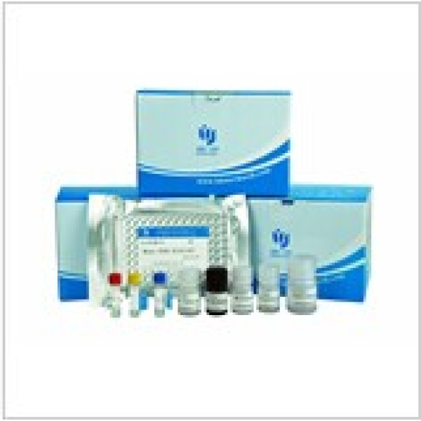 羟脯氨酸测试盒（碱水解法）测动物血清、组织、尿液