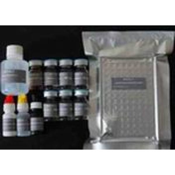 人膜联蛋白Ⅴ(ANX-Ⅴ)ELISA试剂盒    