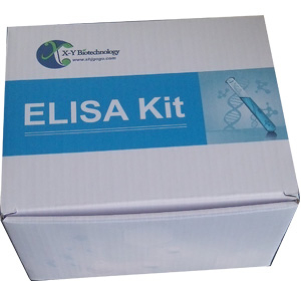 人胆囊收缩素/肠促胰酶肽(CCK)ELISA试剂盒