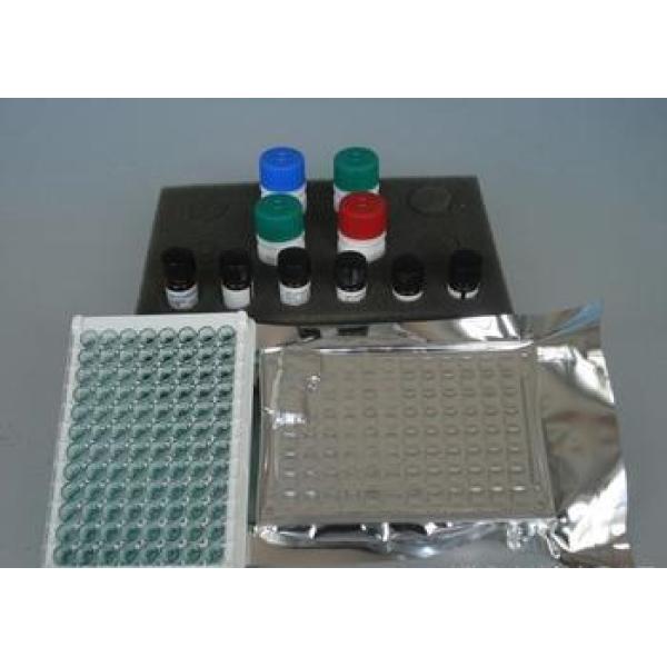 人脾脏酪氨酸激酶(Syk)ELISA试剂盒kit说明书 