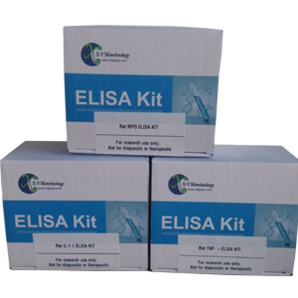 人血管紧张素Ⅰ(Ang-Ⅰ)ELISA试剂盒
