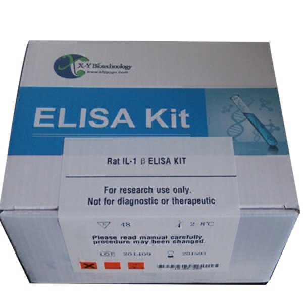 大鼠脑钠素/脑钠尿肽(BNP)ELISA试剂盒