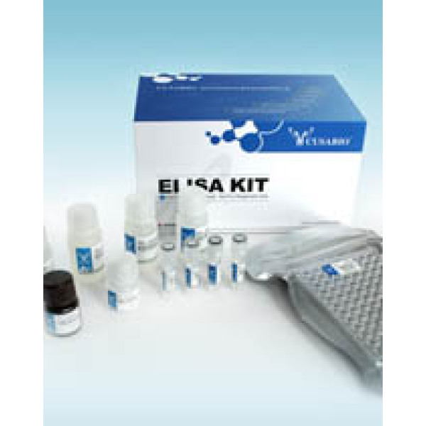 人血管紧张素II (Ang-II)ELISA试剂盒 