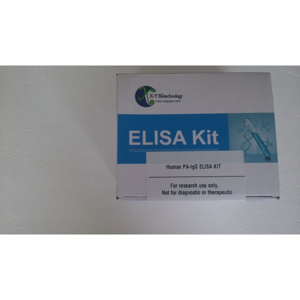 人真核翻译延伸因子1γ(EEF1γ)ELISA试剂盒